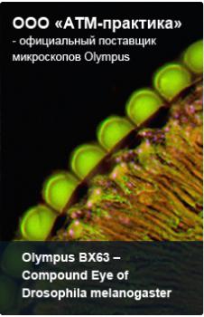 Olympus BX63 -     